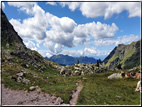 foto Forcella di Val Moena